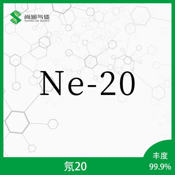 氖20